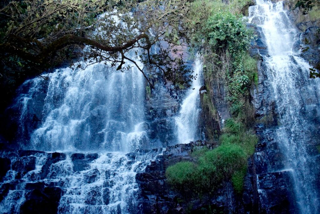 a large waterfall with a tree in front of it